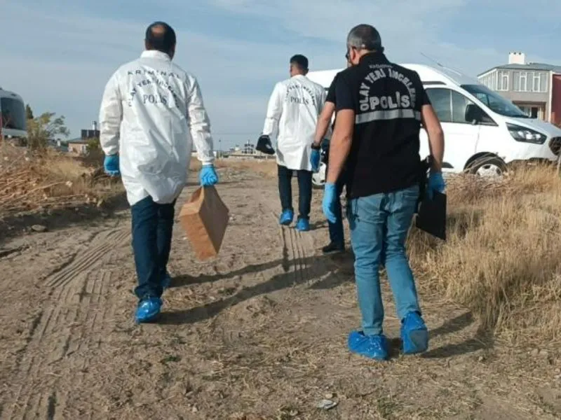 Kayıp Rojin