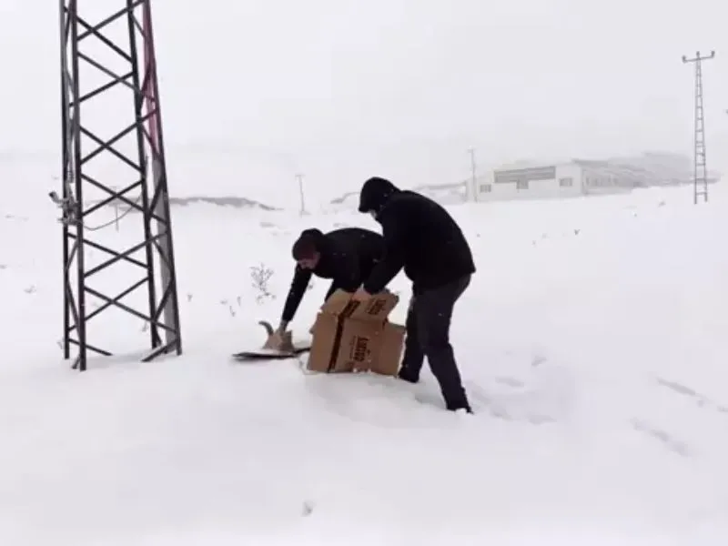 Kediyi Kurtardı