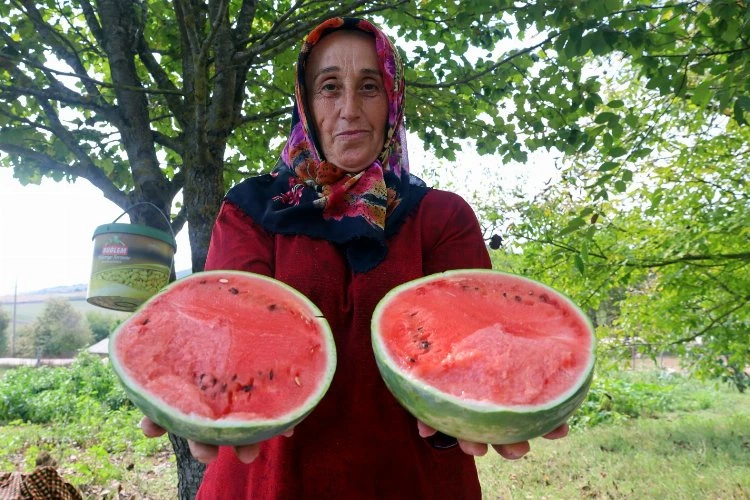 Kocaeli