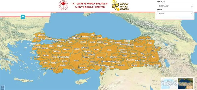 TÜRKİYE ARICILIK HARİTASI 2023 VERİLERİ İLE GÜNCELLENDİ