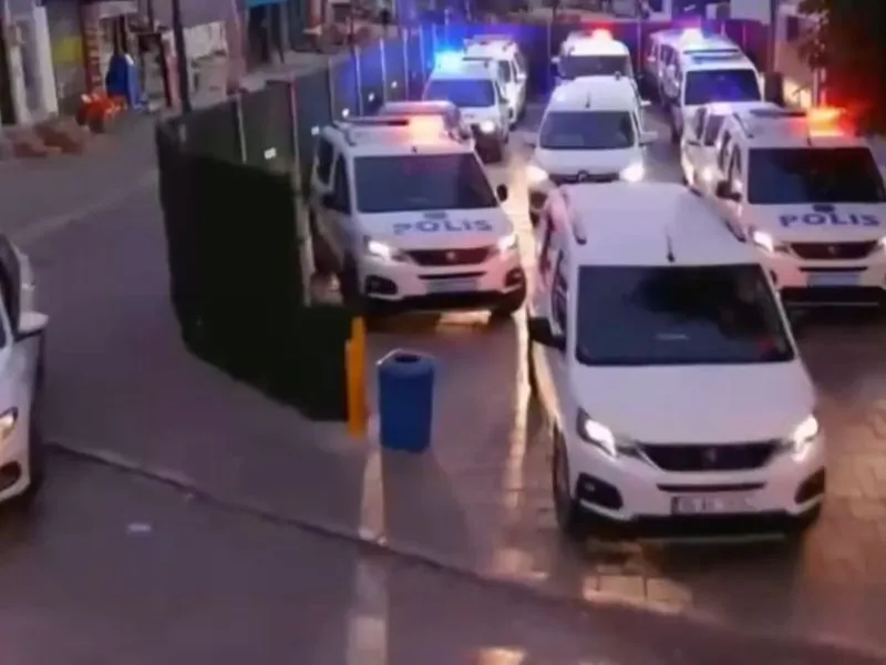 Uluslararası Tarihi Eser Kaçakçılığı Yapan Suç Örgütü Üyesi 47 Şüpheli Yakalandı