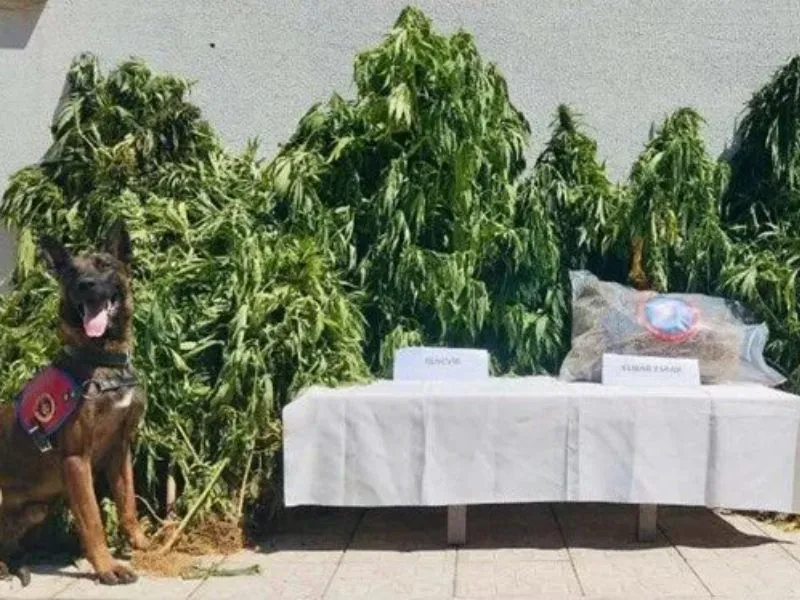 “NARKOÇELİK-33” Operasyonlarında 1 Ton 521 Kilogram Uyuşturucu Madde Ele Geçirildi