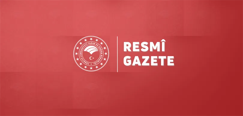 KÜÇÜK ÖLÇEKLİ BALIKÇILARA SAĞLANACAK DESTEKLER BELLİ OLDU