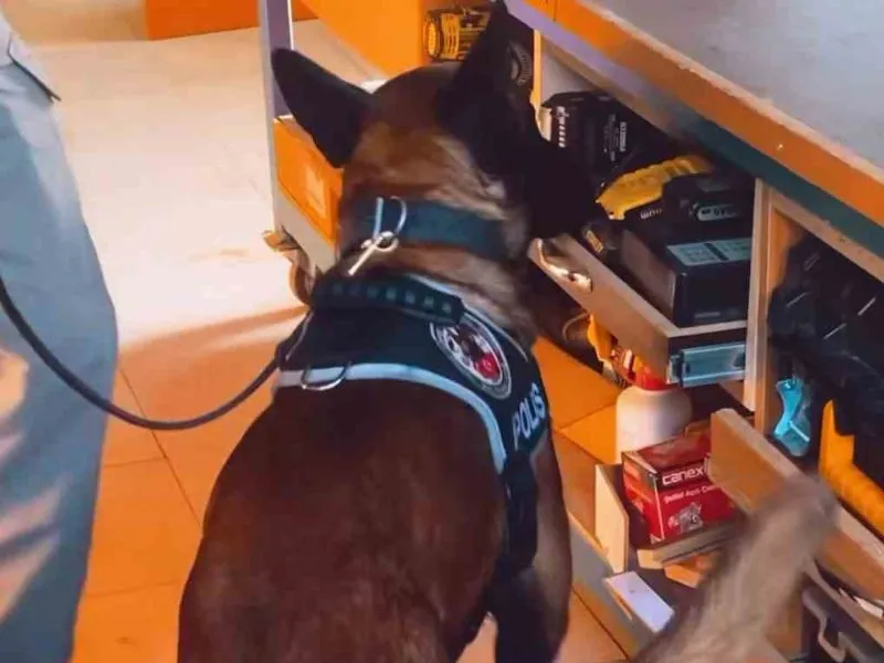 Isparta’nın Narkotik Kahramanı Milon, Üçüncü Kez ’Ayın Köpeği’ Seçildi
