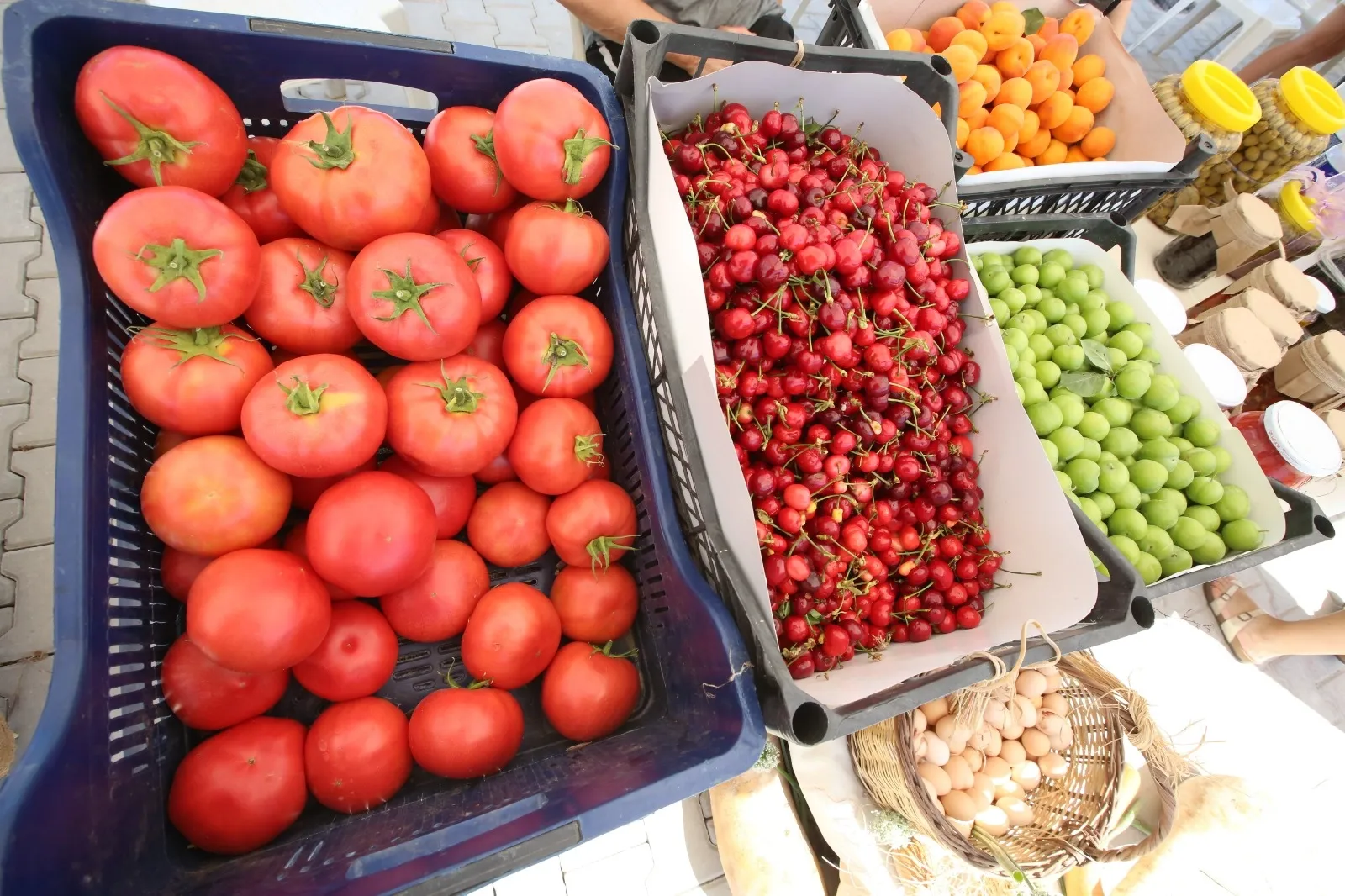 Efes Tarlası Yaşam Köyü’nde Üretici Pazarı 19 Ekim