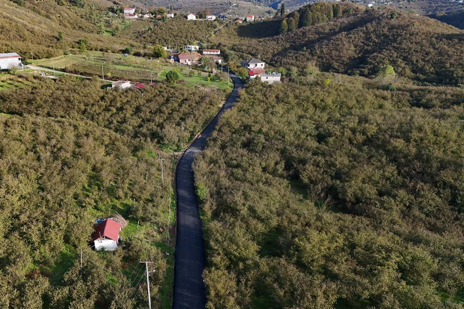 Sakarya Büyükşehir’den yeşilin tam ortasına dokunuş