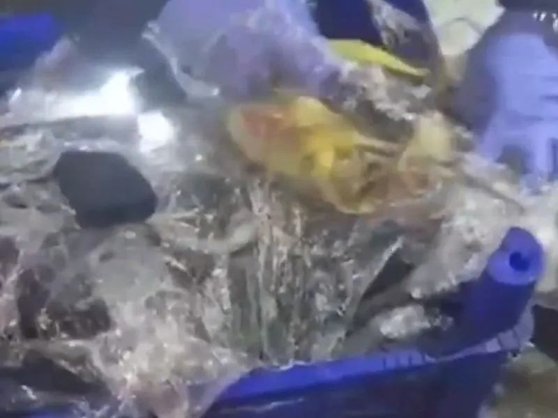 “MERCEK-28” Operasyonunda Kullanıma Hazır 36 Ruhsatsız Tabanca Ele Geçirildi