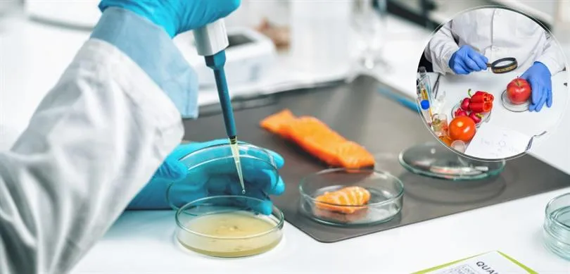 AVRUPA GIDA GÜVENLİĞİ OTORİTESİNİN (EFSA) GIDA GÜVENİLİRLİĞİ İÇİN YÜRÜTTÜĞÜ KAMPANYAYA TÜRKİYE DE DAHİL OLDU
