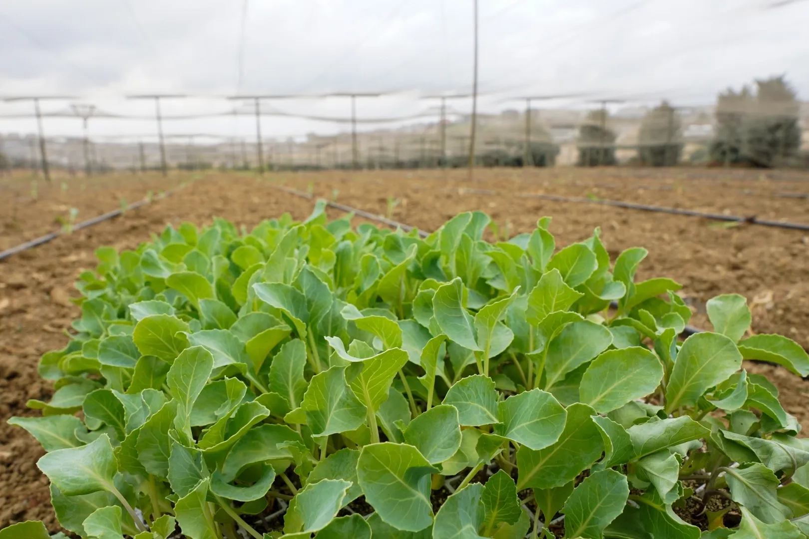İstanbul Beylikdüzü